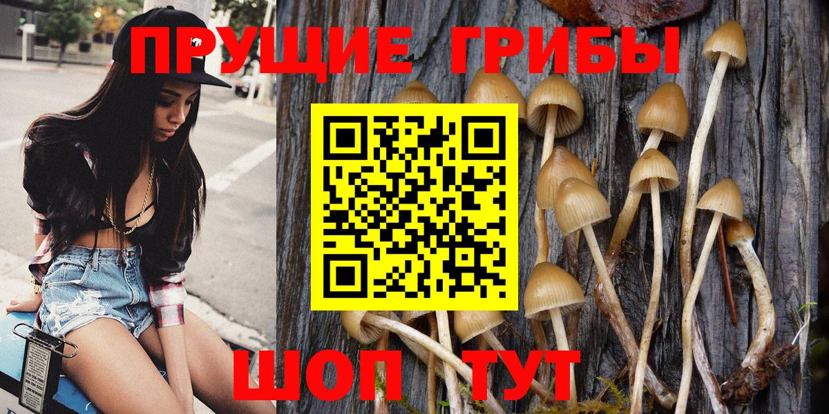 Галлюциногенные грибы прущие грибы Южноуральск