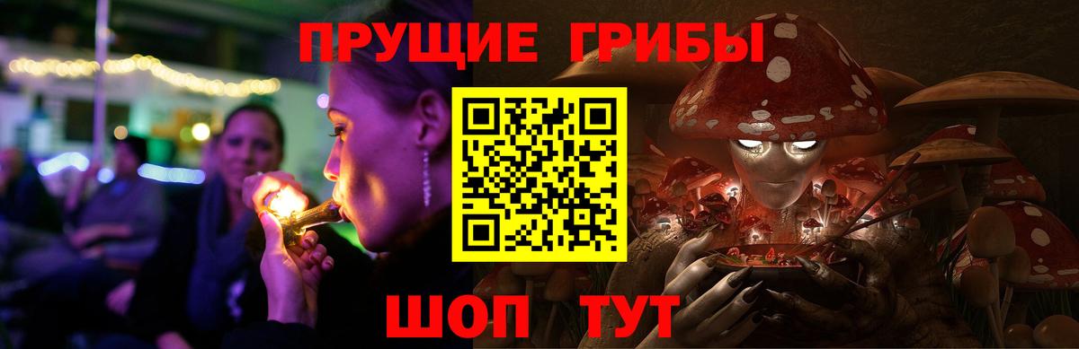 Южноуральск  Галлюциногенные грибы Cubensis  Вход с VPN 
